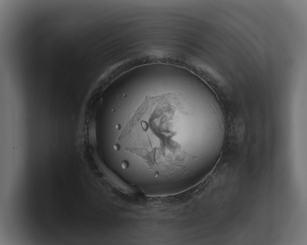 X0000100930776200806241404