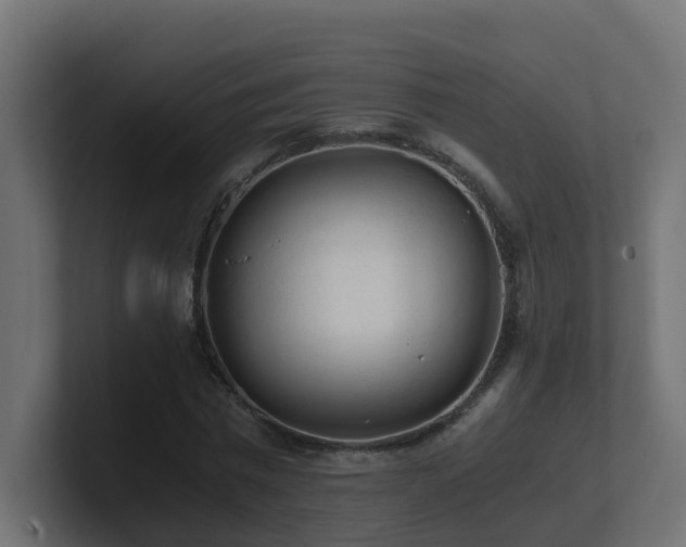 X0000100930777200806241404