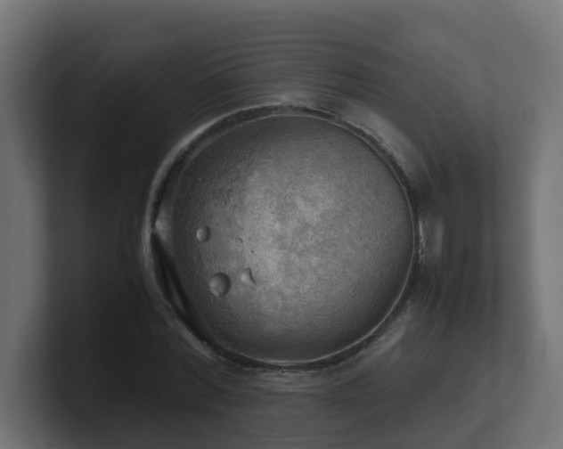 X0000100930780200806241404