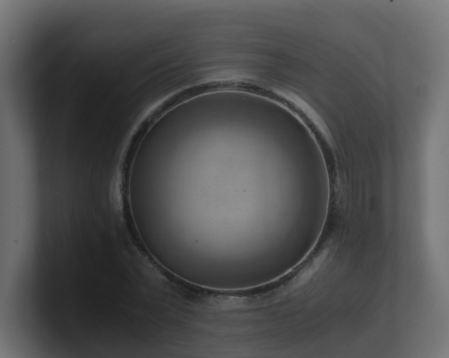 X0000100930783200806241404