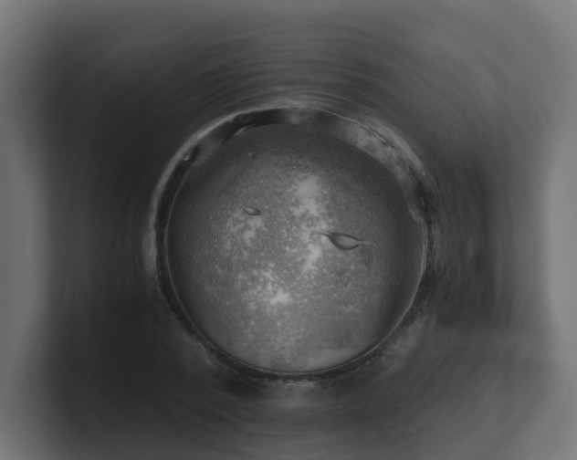 X0000100930784200806241404