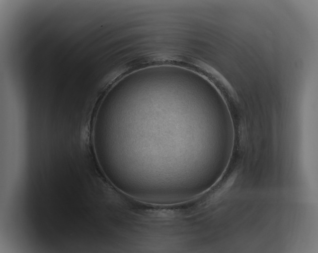 X0000100930785200806241404