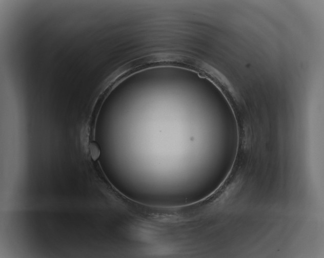 X0000100930786200806241404