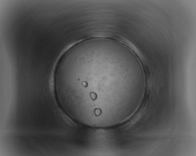 X0000100930787200806241404