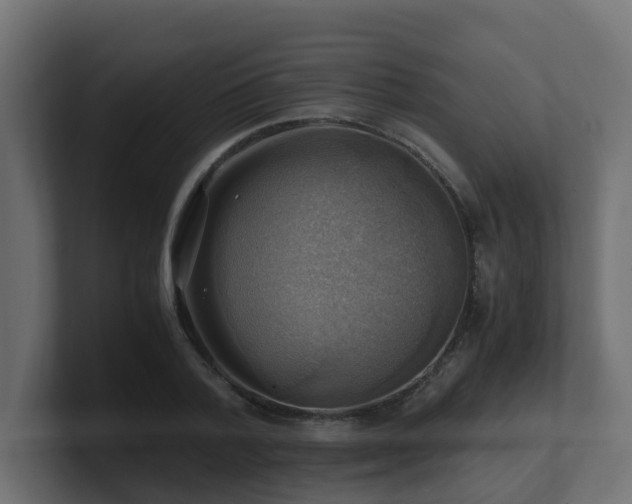 X0000100930788200806241404