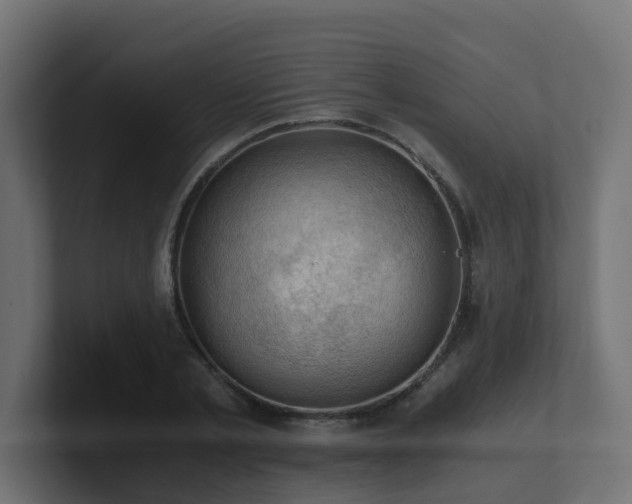 X0000100930789200806241404