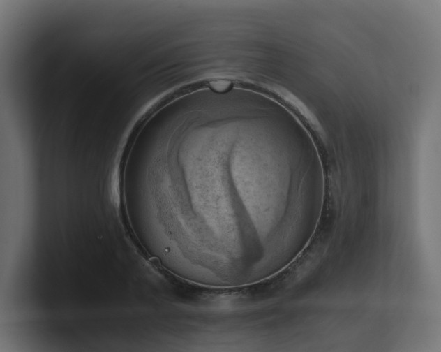 X0000100930791200806241404