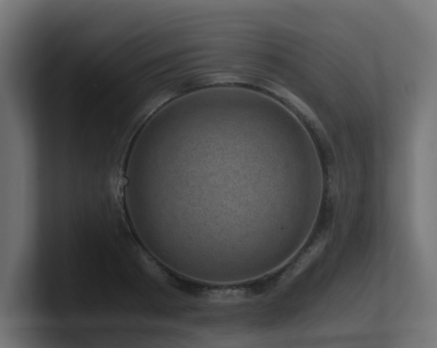 X0000100930793200806241404