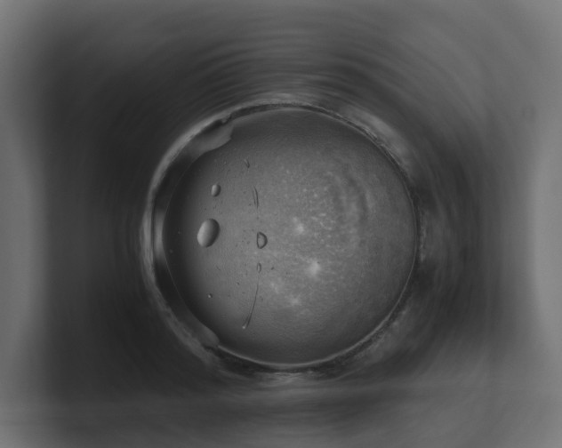 X0000100930796200806241404