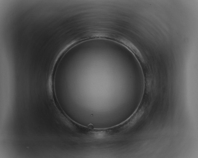 X0000100930798200806241404