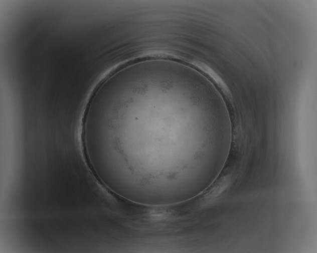 X0000100930799200806241404