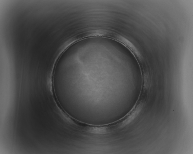 X0000100930802200806241404