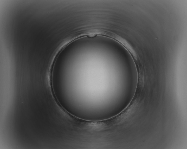 X0000100930805200806241404