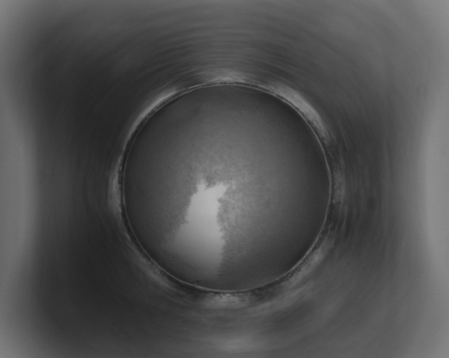 X0000100930806200806241404