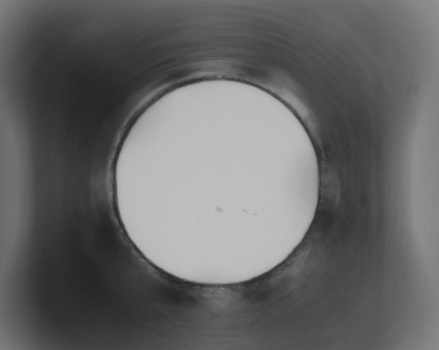 X0000100930807200806241404