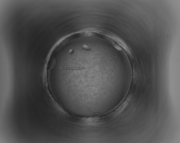 X0000100930808200806241404