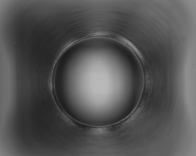 X0000100930810200806241404