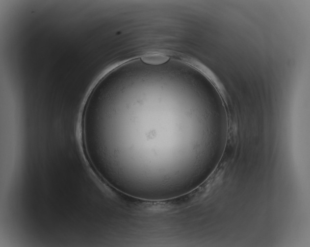 X0000100930811200806241404