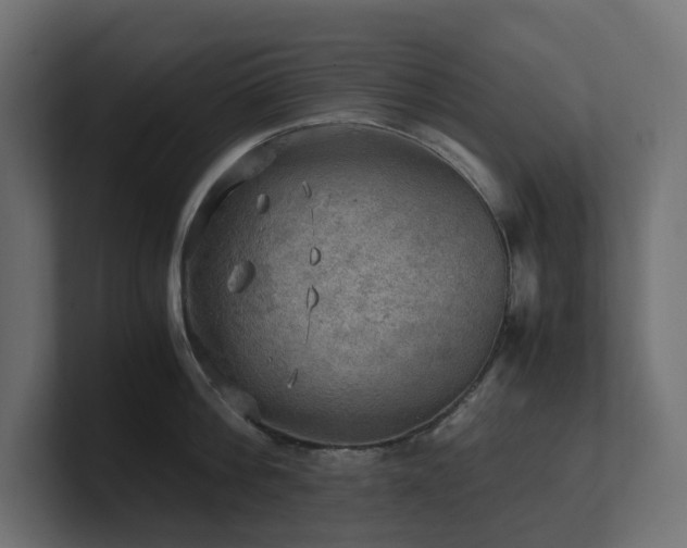 X0000100930812200806241404