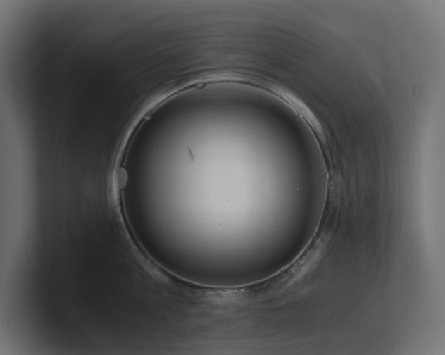 X0000100930813200806241404