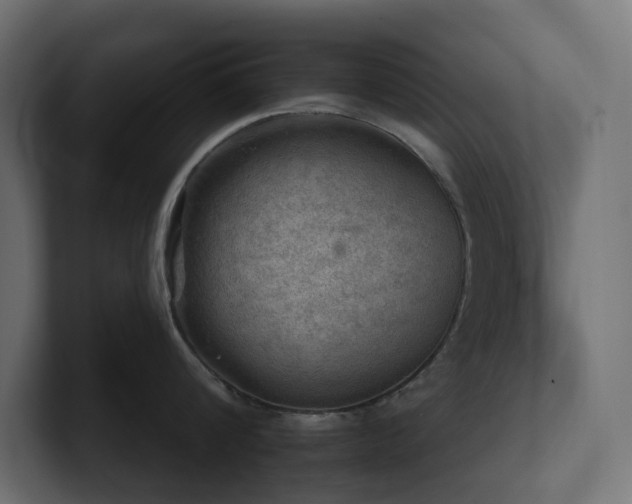 X0000100930816200806241404