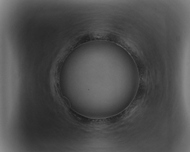 X0000100930817200806241403