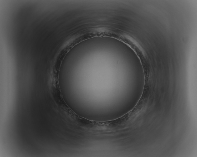 X0000100930823200806241403