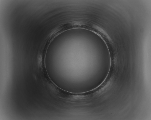 X0000100930825200806241403