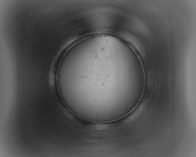 X0000100930827200806241403