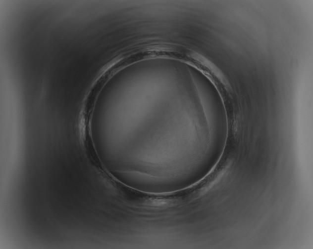 X0000100930829200806241403