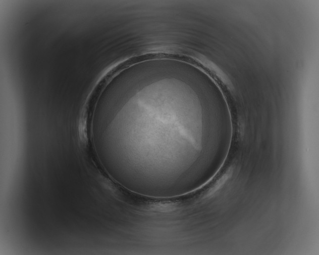 X0000100930830200806241403