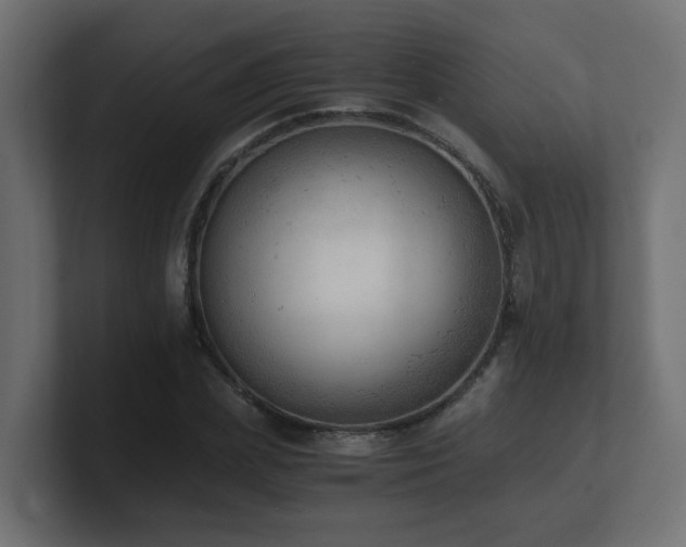 X0000100930831200806241403