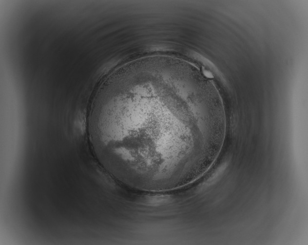 X0000100930833200806241403