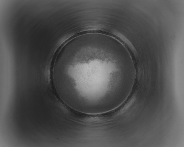 X0000100930834200806241403