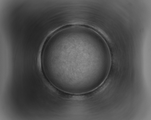 X0000100930840200806241403