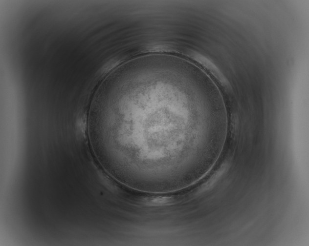 X0000100930841200806241404