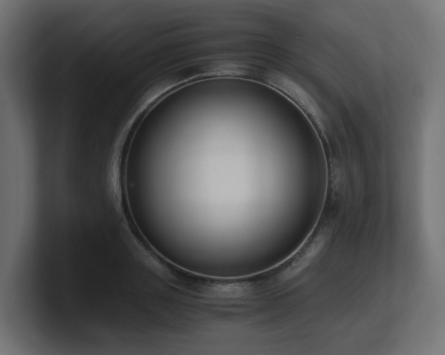 X0000100930843200806241404