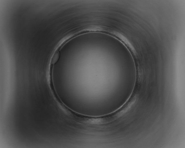 X0000100930845200806241404