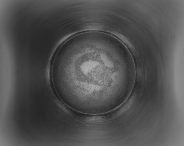 X0000100930846200806241404