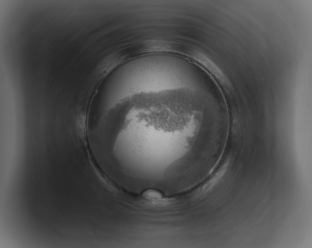 X0000100930849200806241404