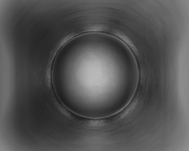 X0000100930850200806241404