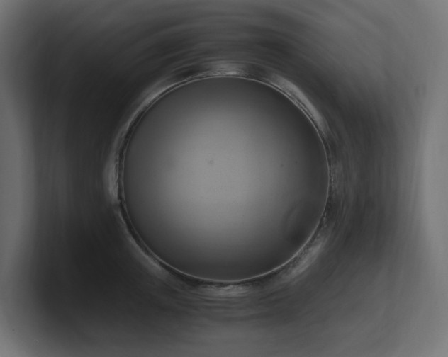 X0000100930851200806241404