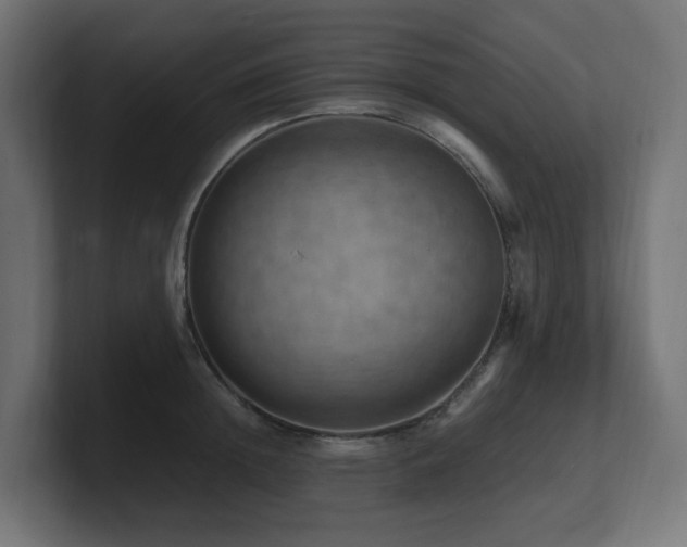 X0000100930852200806241404