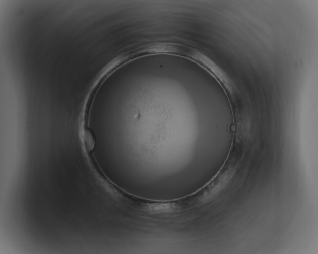 X0000100930853200806241404