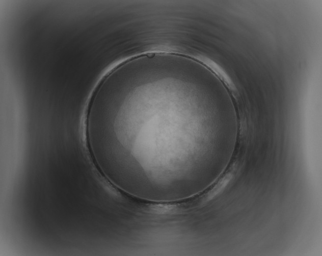 X0000100930854200806241404