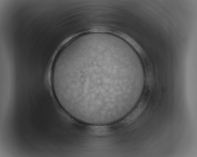 X0000100930856200806241404