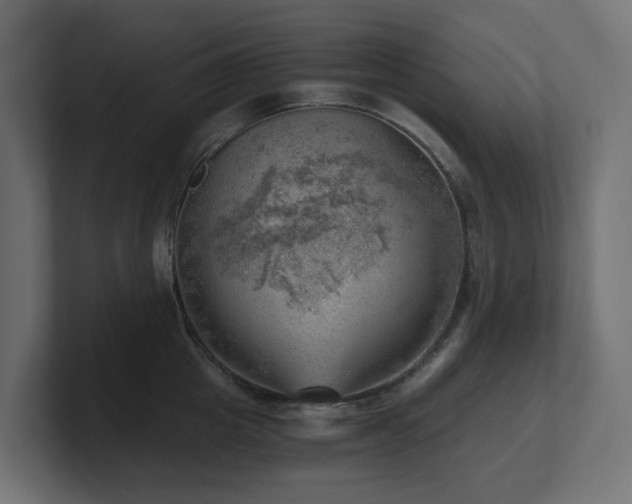 X0000100930857200806241404