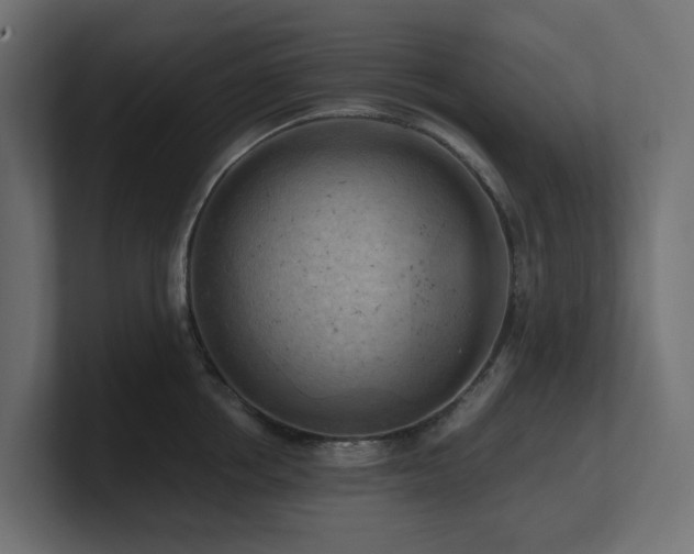 X0000100930858200806241404