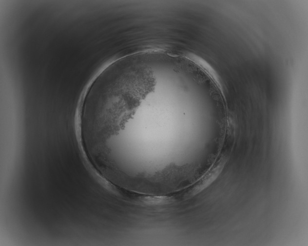 X0000100930859200806241404