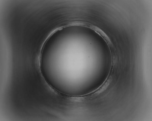 X0000100930860200806241404